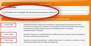 Badante convivente con presenza notturna