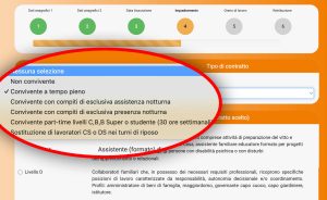 La tipologia del contratto di lavoro domestico