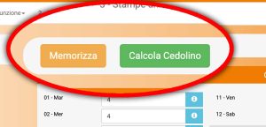 Calcolo cedolino
